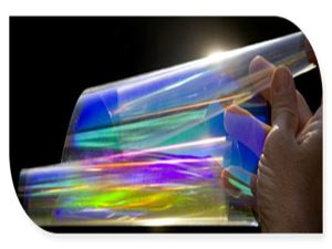 Κατοικίδιο ζώο Prism ταινία για την τηλεόραση Συνέλευση